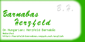 barnabas herzfeld business card